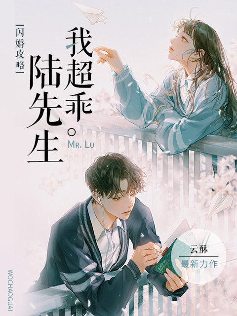 《闪婚攻略：陆先生我超乖》（全文免费在线阅读）（全章节）